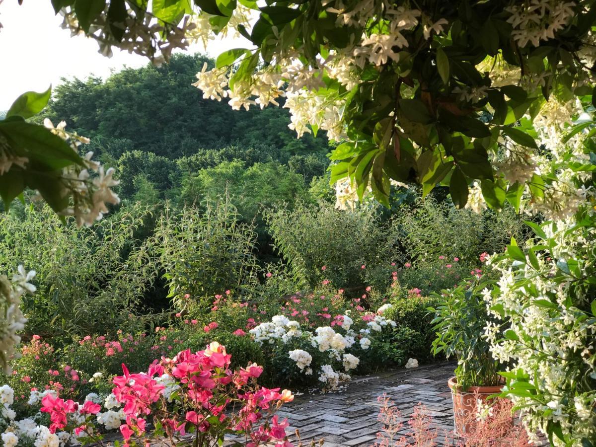 Villa Bricco Dei Cogni La Morra Extérieur photo